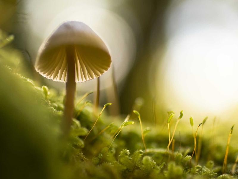 Albergue de Grandas de Salime in Grandas de Salime