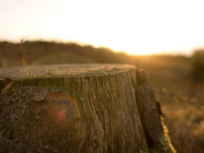 Albergue de Peregrinos de Tineo in Tineo