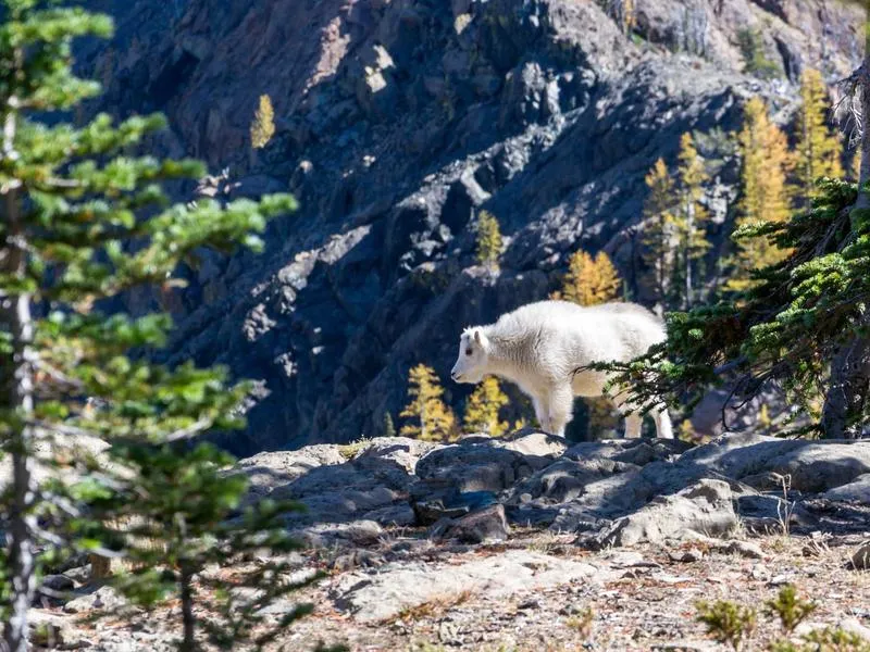 Casa Rural La Mesa (5B) in La Mesa