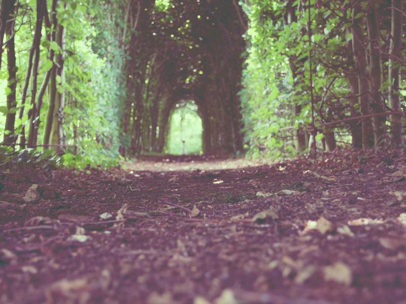 Hostal Cantábrico in A Fonsagrada