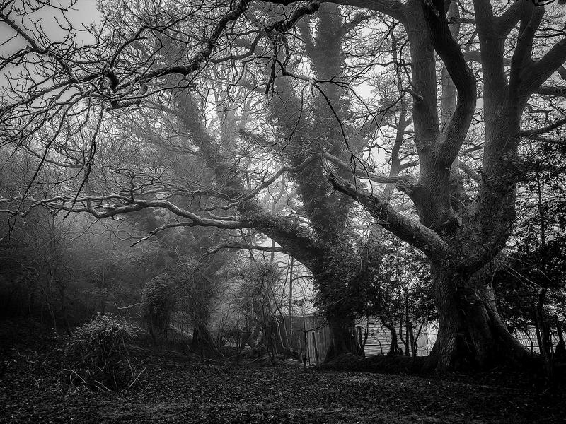 Hostal Suso in Santiago de Compostela