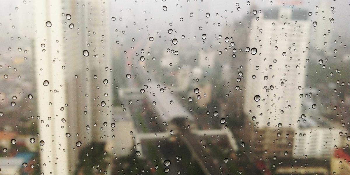 Sunlight filtering through an ancient oak forest on the Camino Primitivo