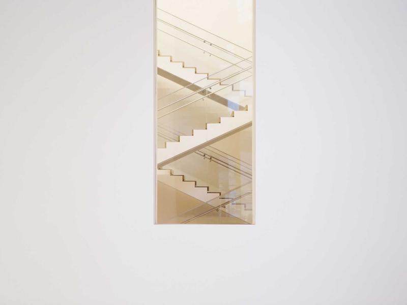 Wildlife and Nature on the Camino Primitivo