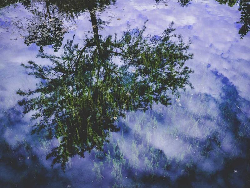 Landscape between Lugo and San Romao da Retorta