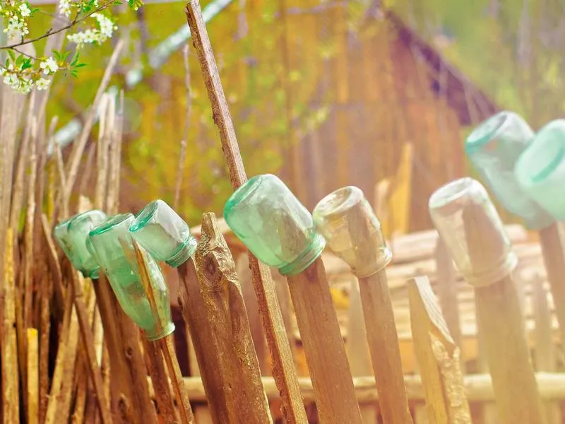 O Cádavo Baleira, Galicia