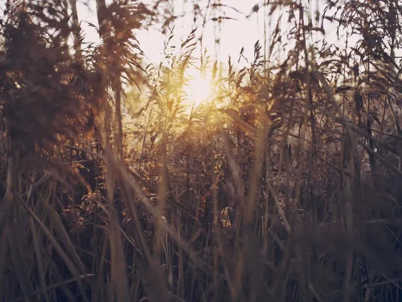 Bar Casa Domingo — Bar