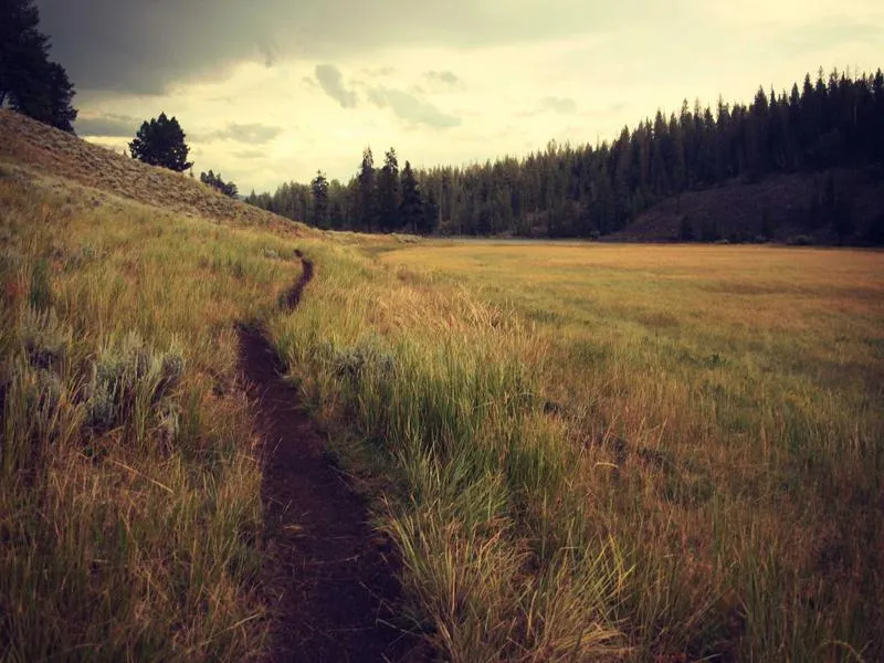 Bar Covadonga — Bar