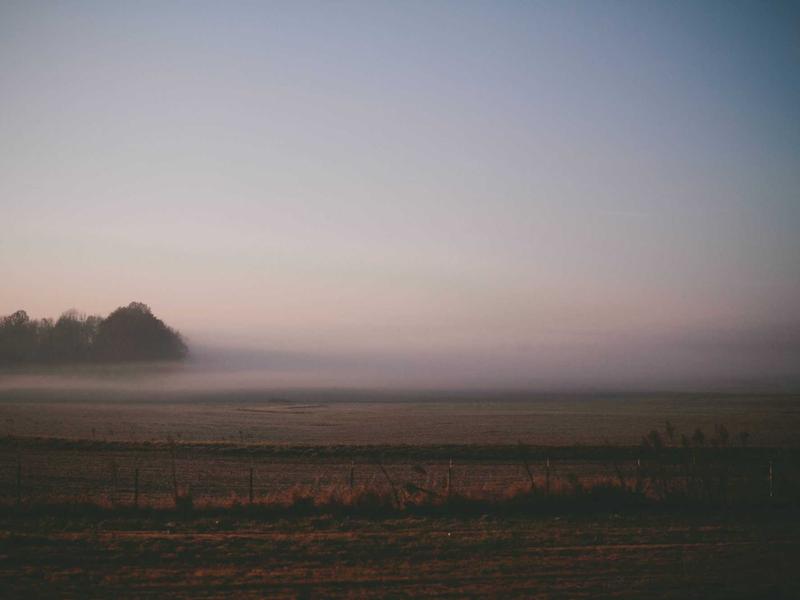 Basilica of San Pedro — Church