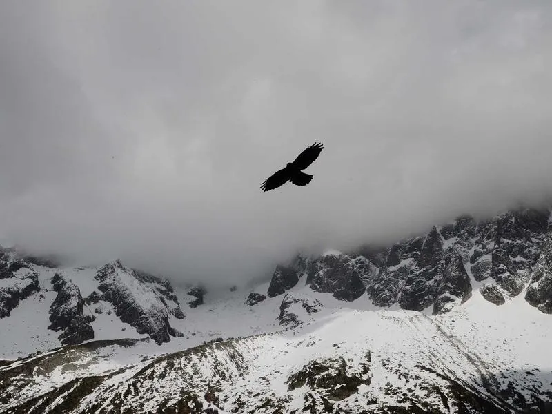 Casa Pacita — Restaurant