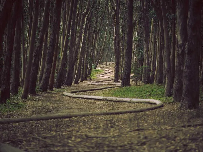 Castro de Viladonga — Monument