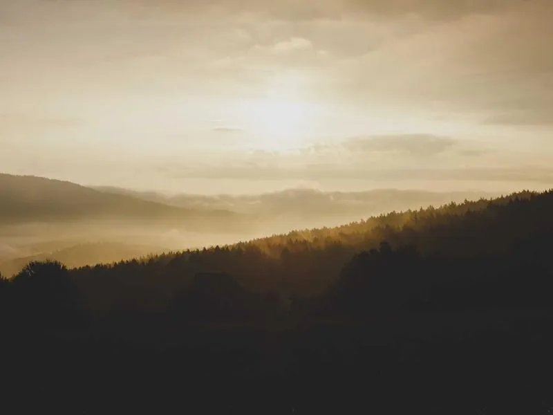 Lugo Cathedral — Church