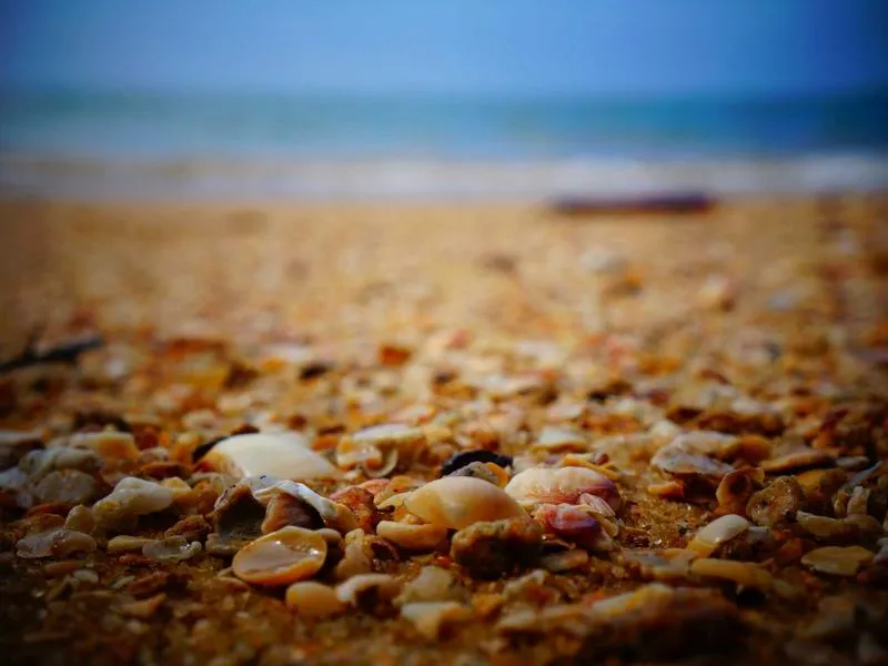 Pulpería Ezequiel — Restaurant